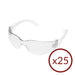 ERB 17500 Iprotect Clear Economy Safety Glasses (25pk)
